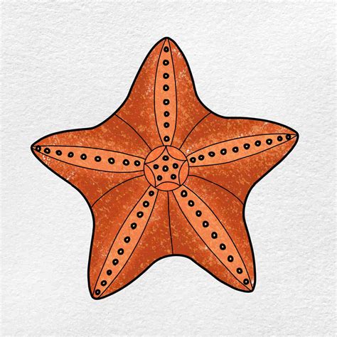 easy drawing starfish